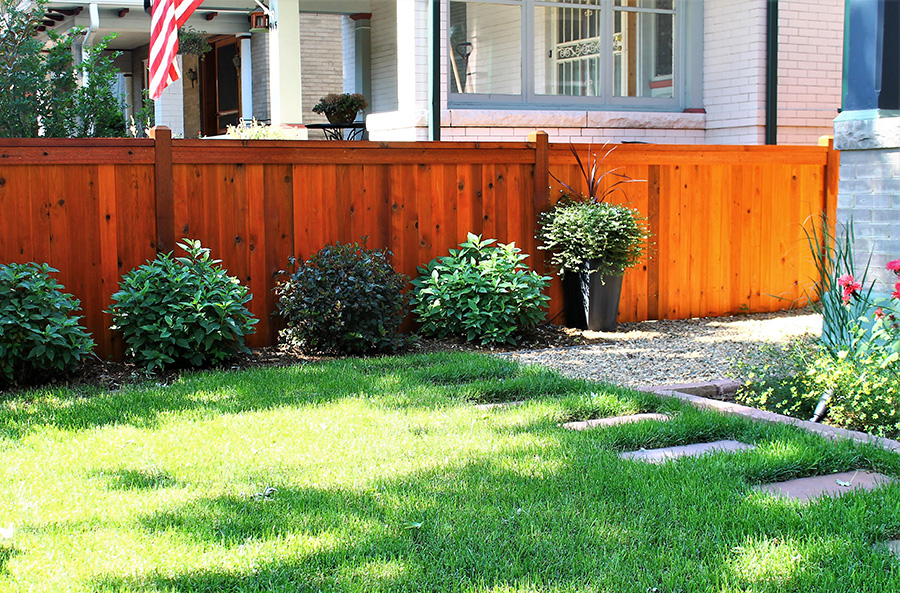 Colorado Residential Landscape Shrubs