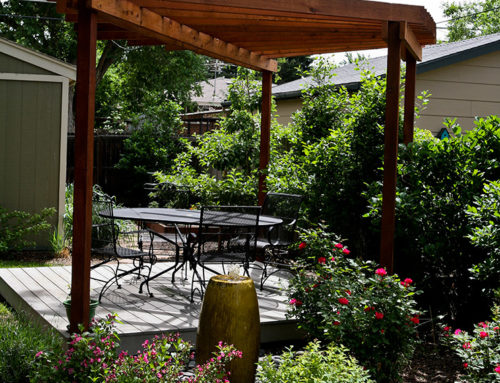 Garden 16