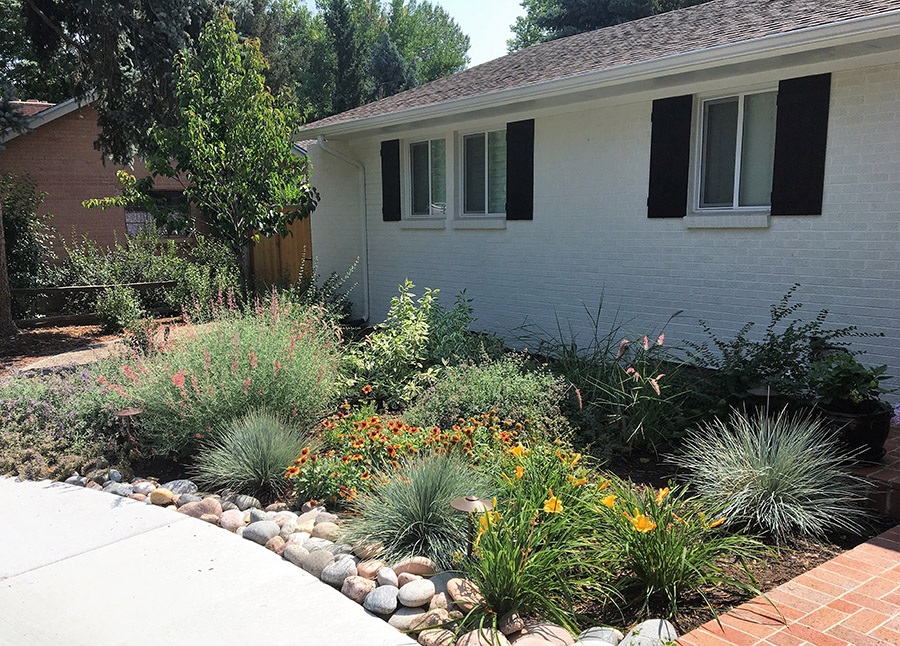 Denver Front Yard Landscape